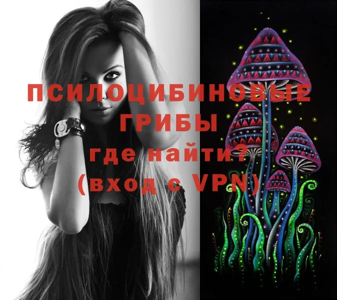 Псилоцибиновые грибы Magic Shrooms  Енисейск 